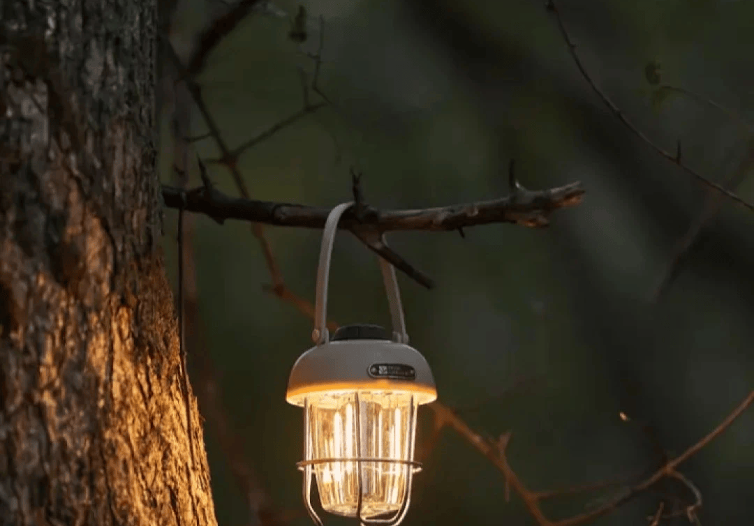 东南亚跨境露营灯新加坡设计中心澳门新葡京新加坡商人吕文扬布局(图2)